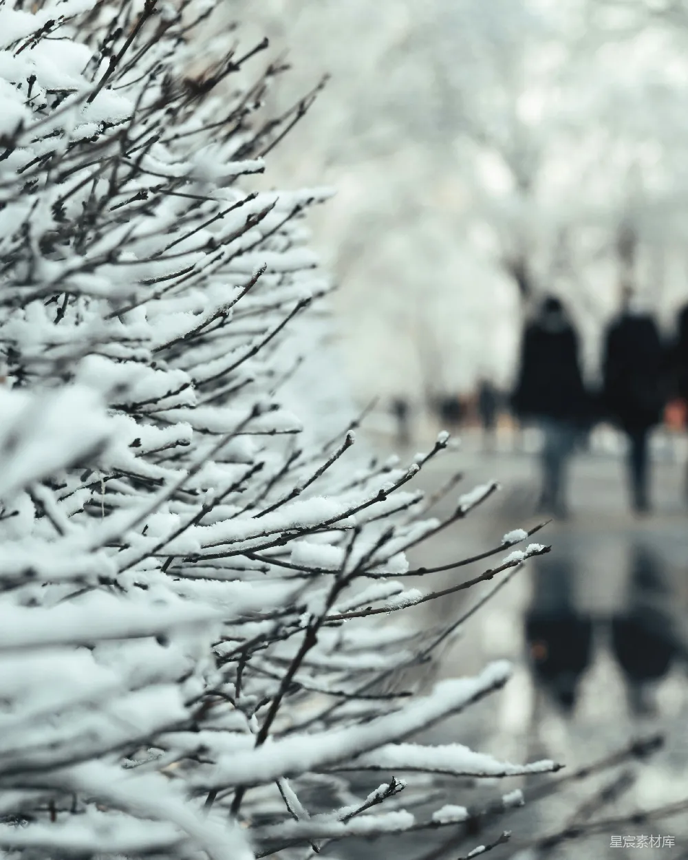 高清摄影 雪景 冬季 自然 城市 行人 冬日的雪景与行人