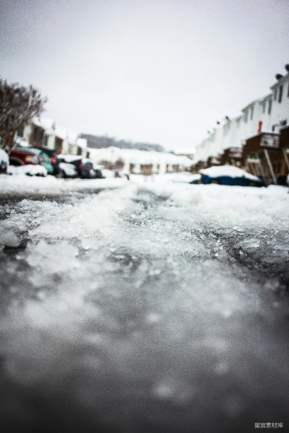高清摄影 雪地 低角度 冬季 城市 自然 雪地低角度拍摄