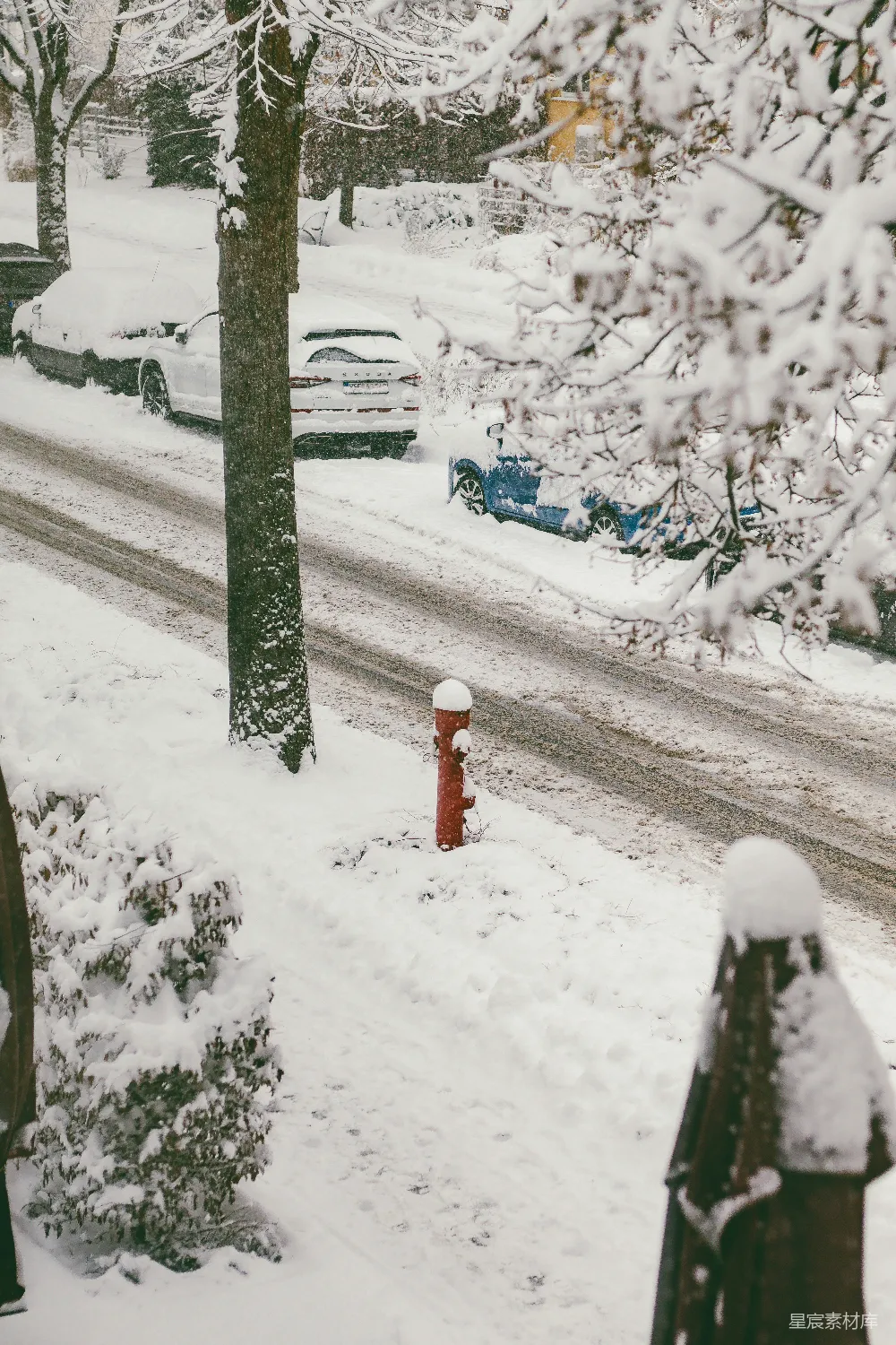 高清摄影 雪景 冬季 红色消防栓 城市街道 宁静 冬日雪景中的红色消防栓
