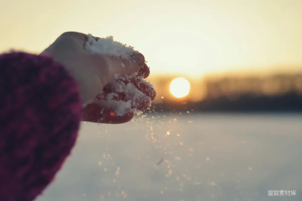 高清摄影 冬季 夕阳 雪花 自然风光 冬季活动 冬日夕阳下的雪花