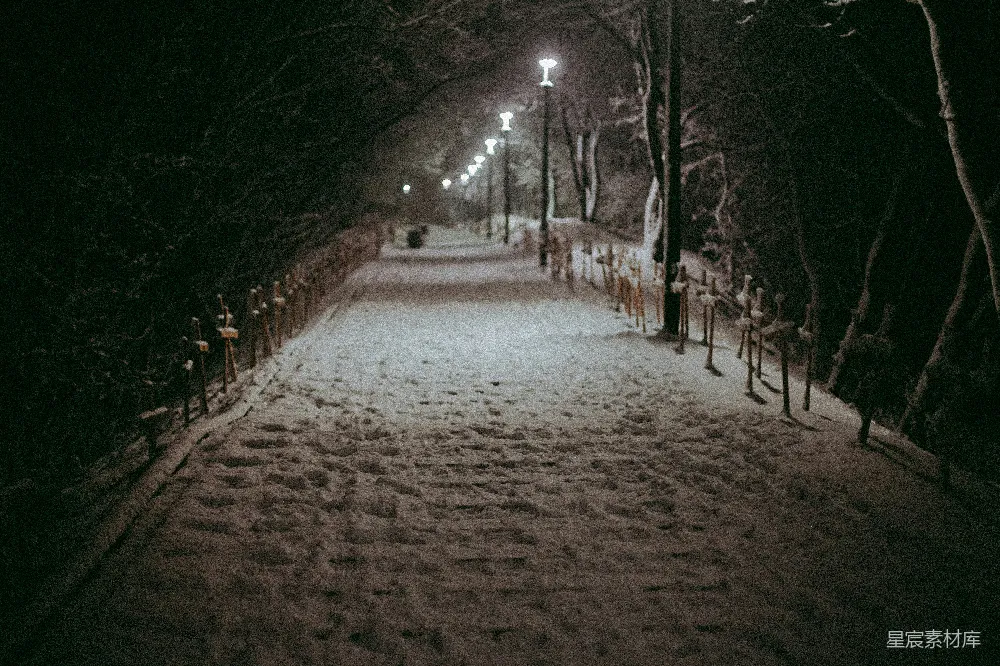 高清摄影 雪地 夜晚 小径 灯光 寒冷 冬夜小径