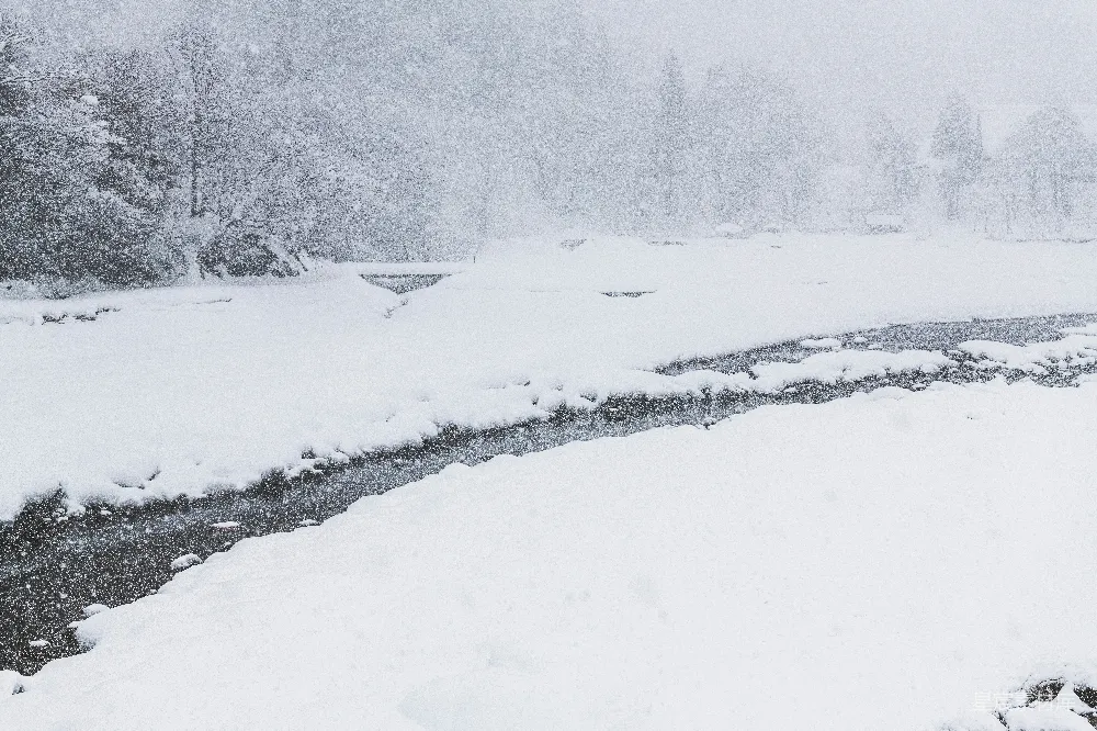高清摄影 雪景 河流 冬季 自然风光 宁静 雪景中的河流