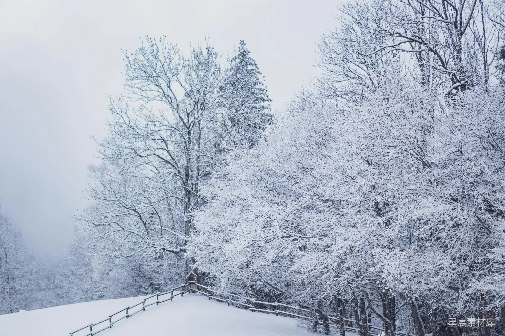高清摄影 冬季 雪景 自然风光 户外 宁静 冬日雪景中的木栈道