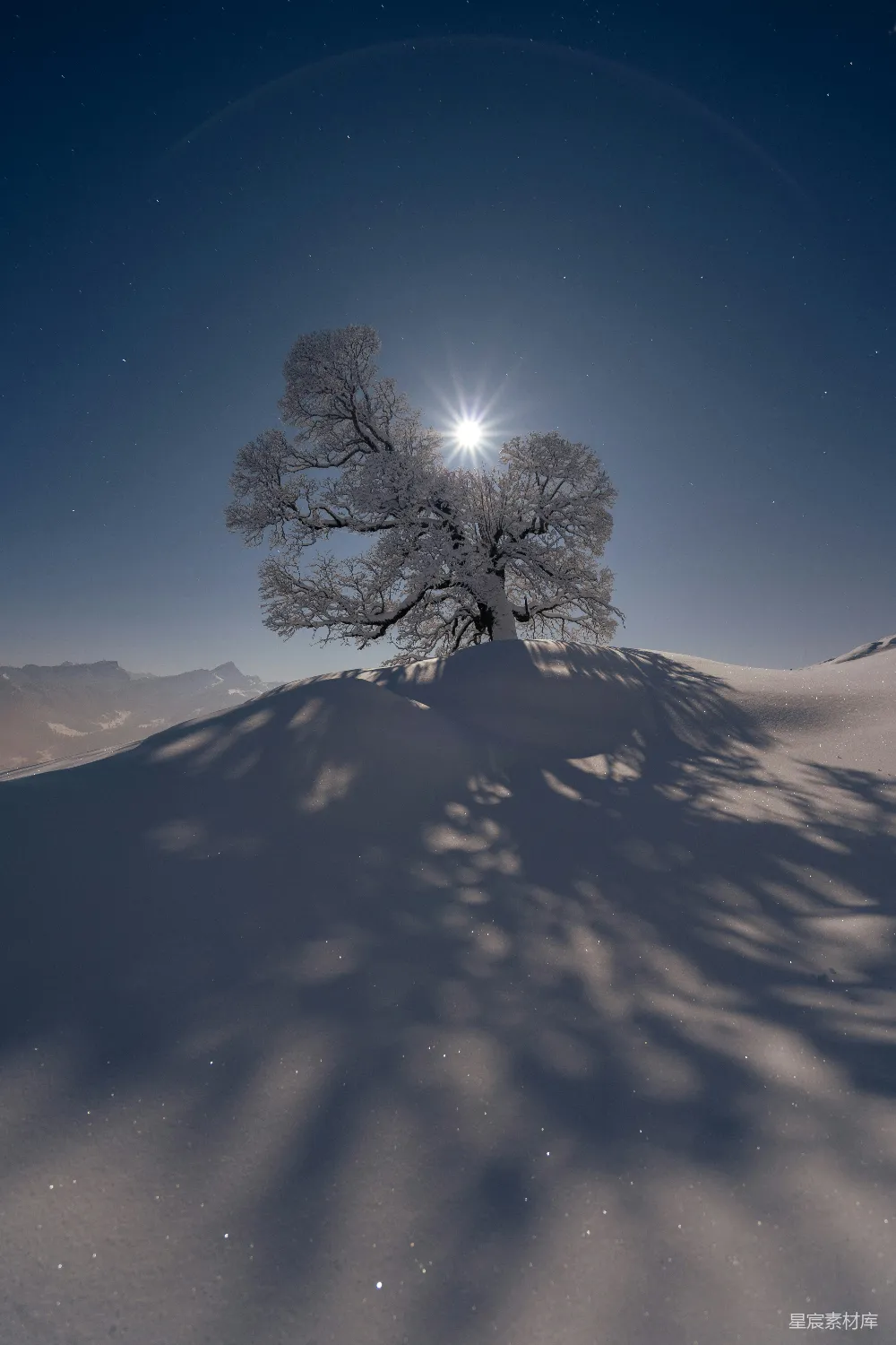 高清摄影 雪景 孤独树 自然风光 冬季 宁静 雪地中的孤独树