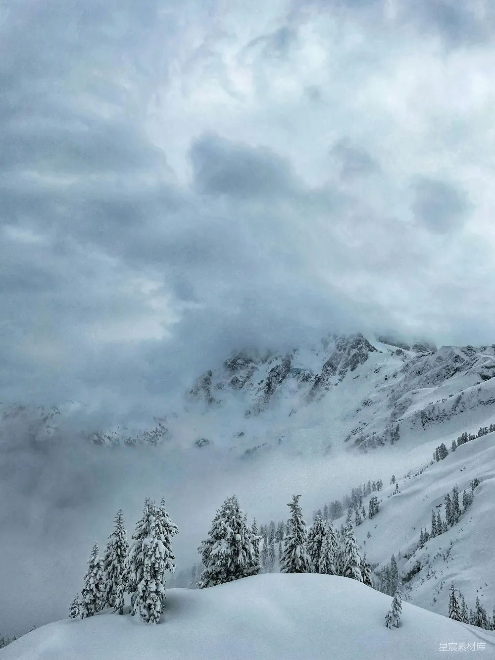 高清摄影 雪景 松树 山脉 自然风光 冬季 冬日雪景中的松树