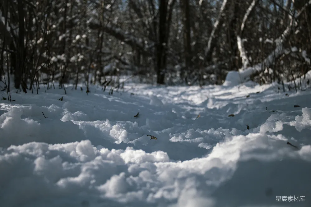 高清摄影 雪地 冬季 自然 风景 户外 冬日雪地