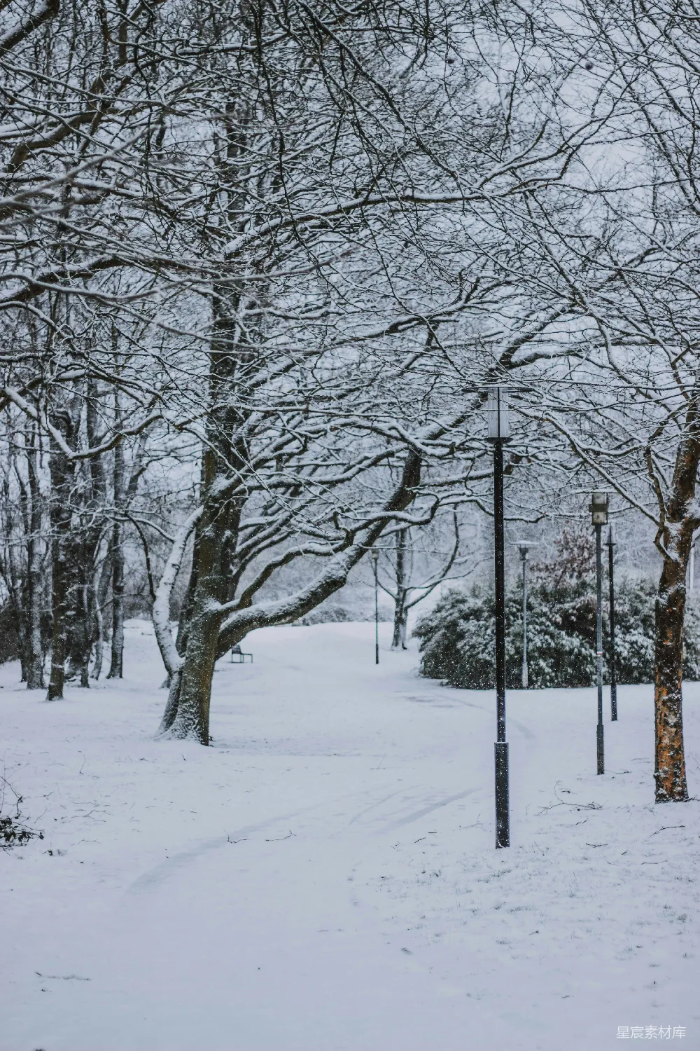 高清摄影 冬季 雪景 公园 小径 自然 雪中的公园小径
