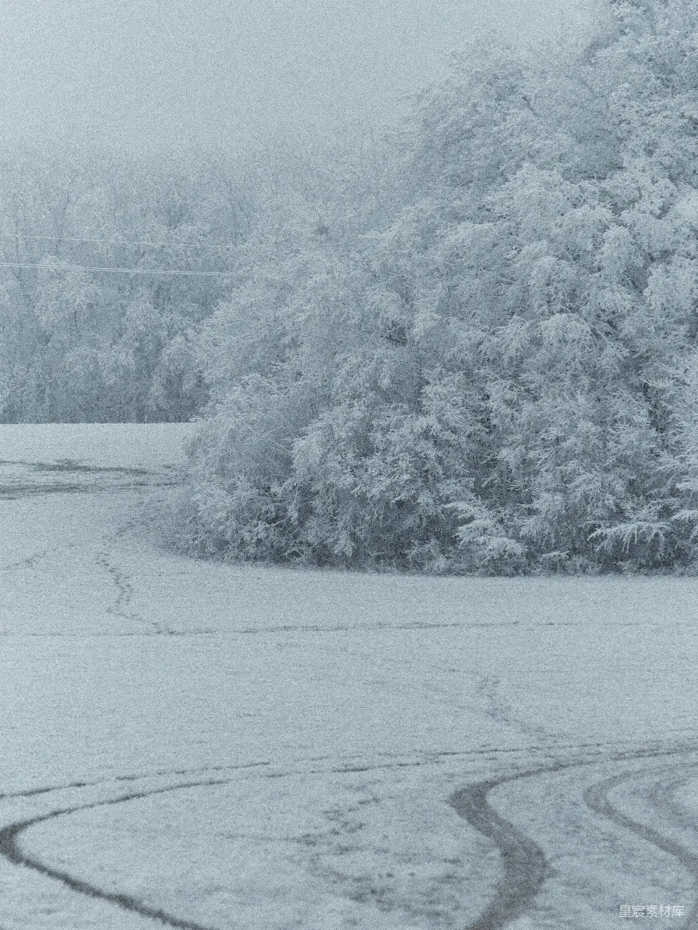 高清摄影 冬日 雪景 田野 静谧 自然 冬日雪景：静谧的田野与覆盖白雪的树木