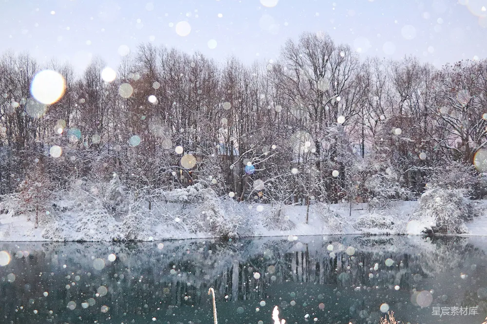 高清摄影 冬季 雪景 宁静 自然 湖畔 冬日湖畔雪景