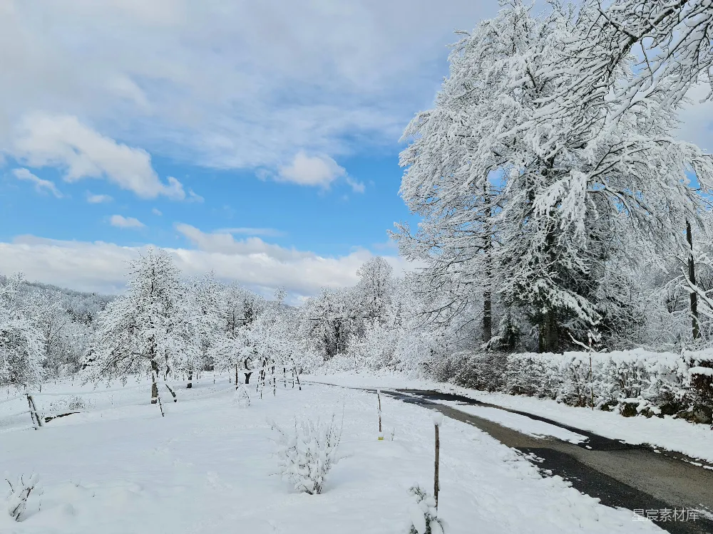 高清摄影 冬景 乡村 雪景 自然风光 宁静 冬日雪景中的乡村小路