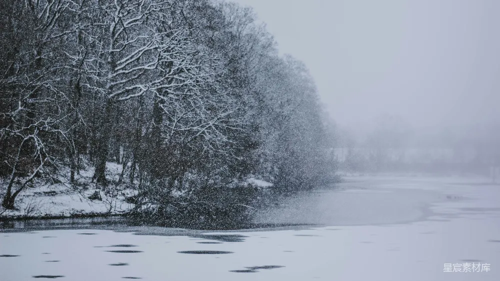 高清摄影 雪景 冬季 自然风光 宁静 湖边 冬日雪景：湖边的静谧时光
