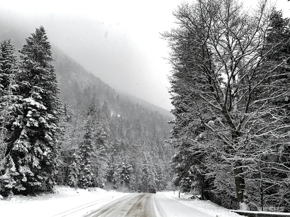 高清摄影 雪景 森林 自然风光 冬季 公路 雪中的山路
