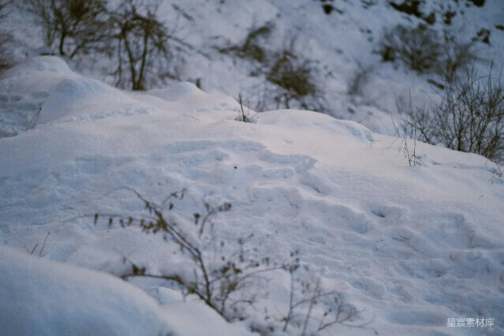 高清摄影 雪地 足迹 自然 冬季 户外 冬日雪地足迹