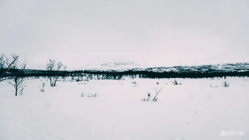 高清摄影 雪景 山脉 冬季 自然风光 宁静 雪地中的山脉