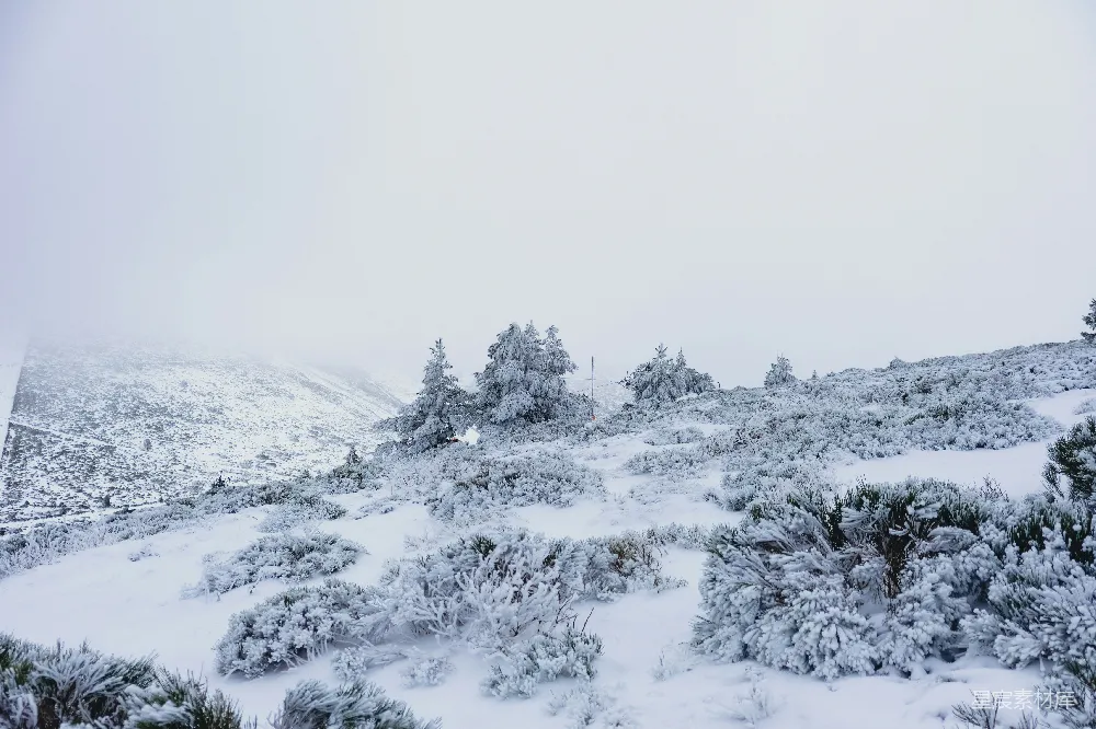 高清摄影 雪景 冬季 自然风光 宁静 山林 冬日雪景：雾中静谧的山林