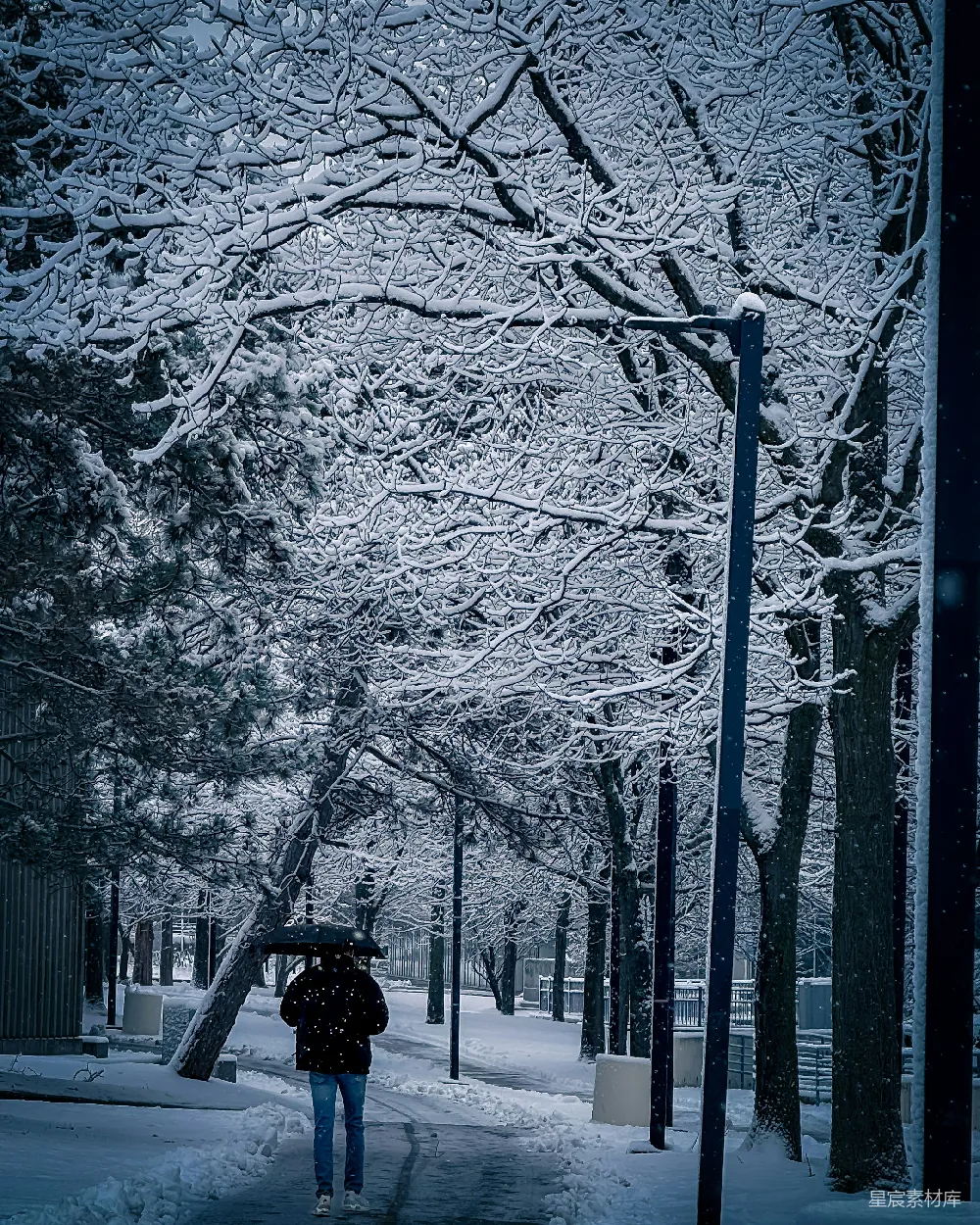 高清摄影 冬季 雪景 自然 孤独 户外 雪中漫步