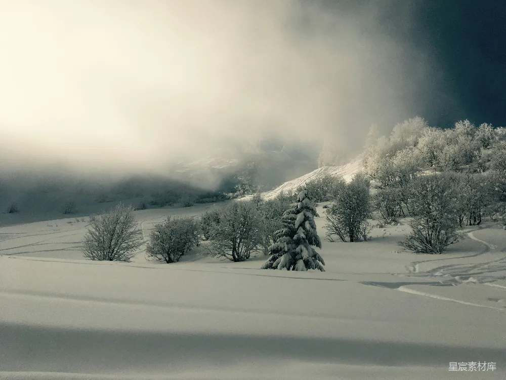 高清摄影 冬季 自然风光 雪景 雾凇 宁静 冬日雾凇下的宁静雪景