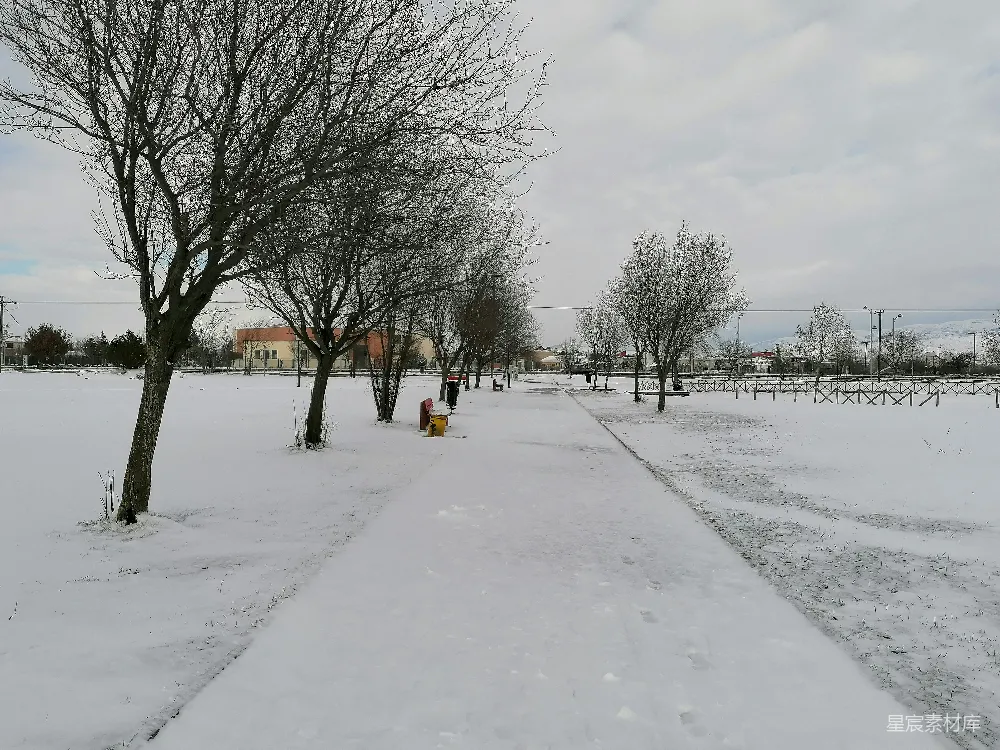 高清摄影 雪景 公园 冬季 宁静 自然 雪后的宁静公园