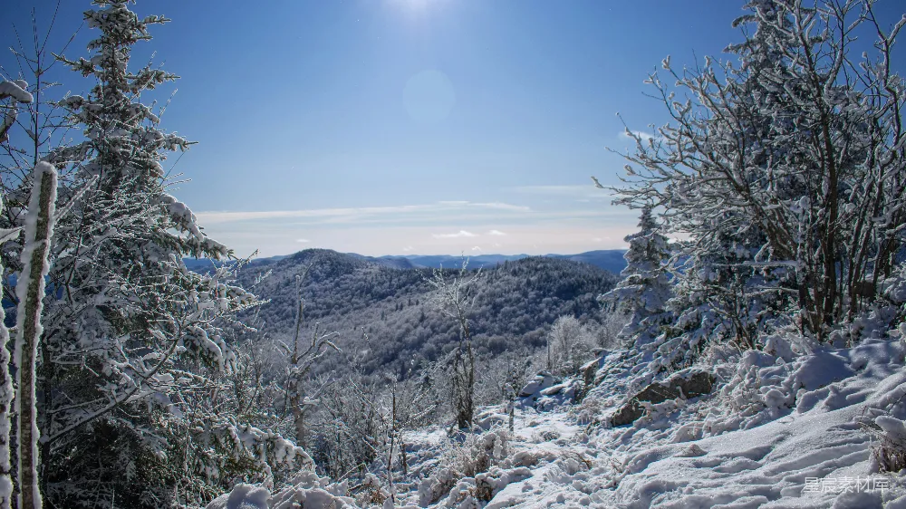 高清摄影 冬景 自然风光 雪景 山林 户外 冬日山景：雪覆盖的森林