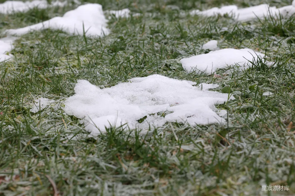 高清摄影 雪地 自然 冬季 户外 宁静 冬日草地上的积雪
