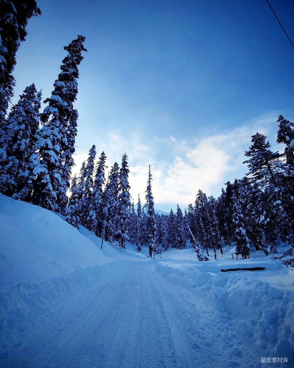 高清摄影 雪景 冬季 自然风光 户外旅行 宁静 雪地小径