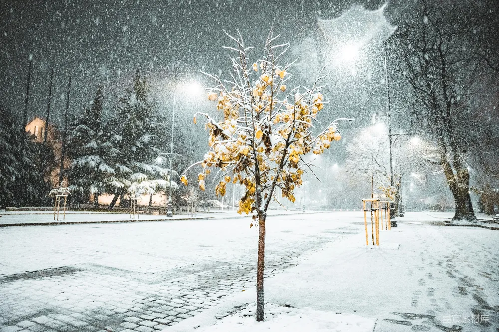 高清摄影 雪景 夜晚 城市公园 冬季 宁静 雪夜中的小树与灯光