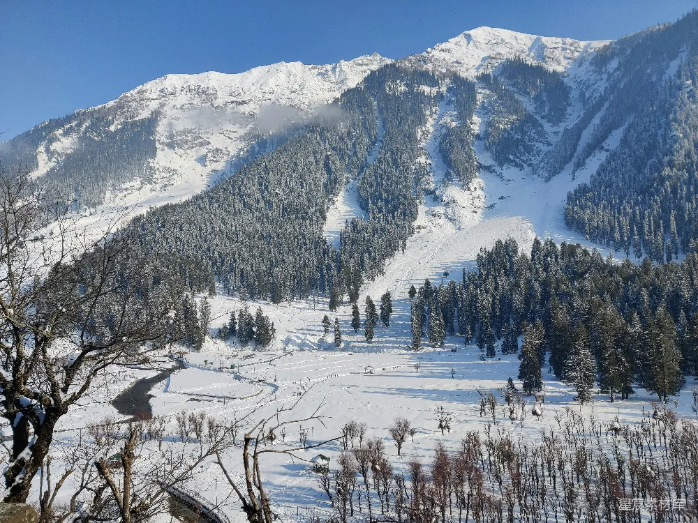 高清摄影 冬季 雪山 森林 宁静 自然 雪域冬景：山峦与森林的静谧之美