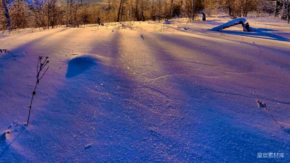 高清摄影 雪地 冬景 光影效果 自然风光 宁静 冬日雪地的光影游戏