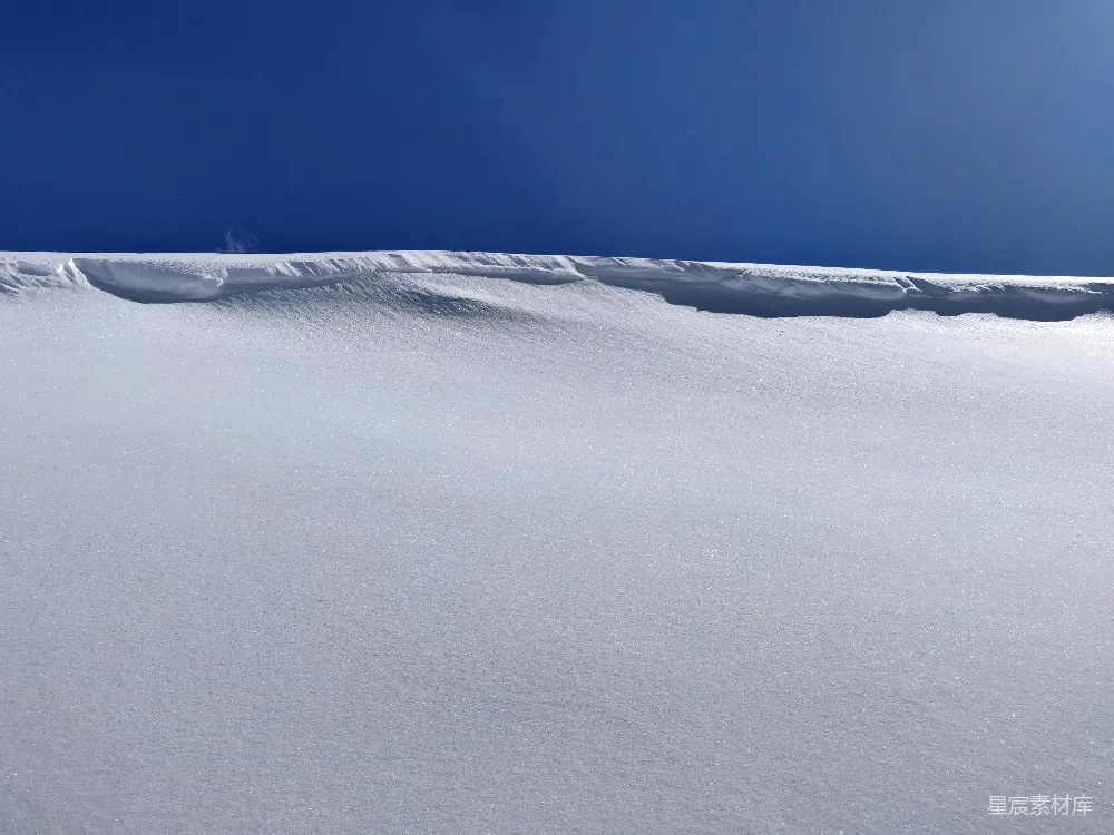 高清摄影 雪地 宁静 自然 冬日 户外 雪地上的宁静