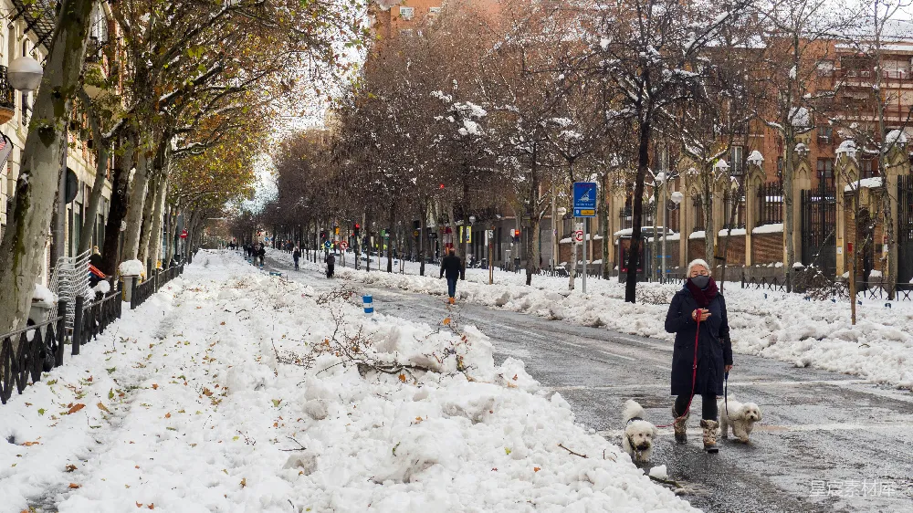 高清摄影 雪景 城市 休闲 冬季 自然 雪后城市街道上的散步时光