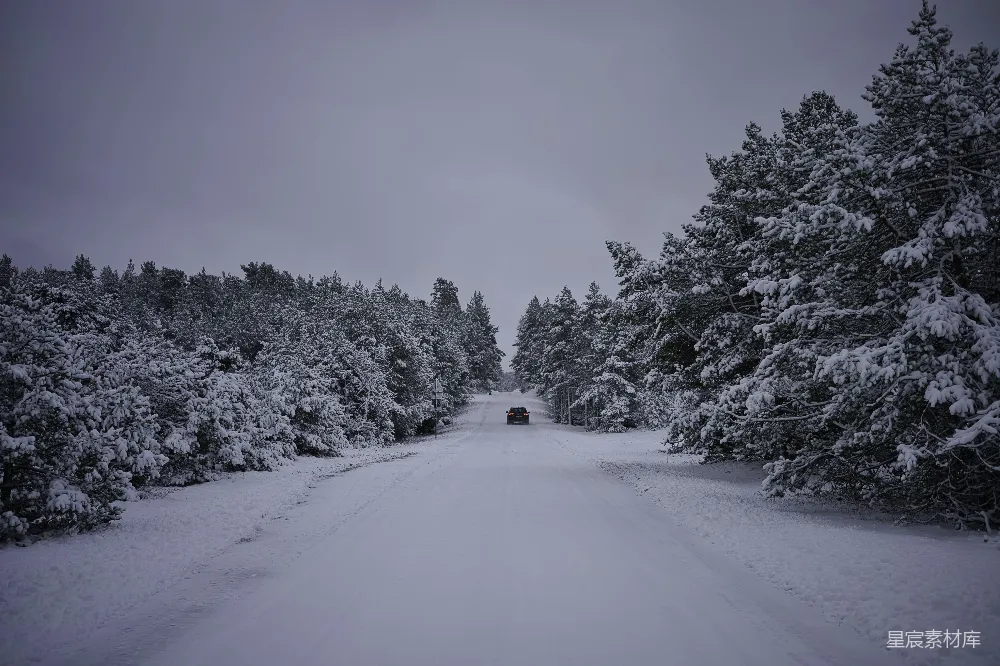 高清摄影 冬季 雪景 道路 森林 宁静 冬日雪景中的寂静之路