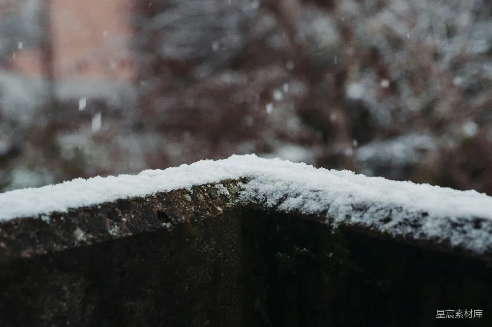 高清摄影 雪景 冬季 自然风光 宁静 户外 冬日雪景