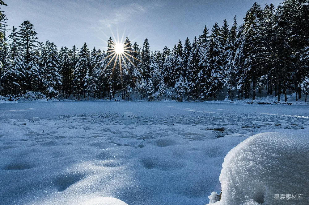 高清摄影 冬季 自然风光 雪景 森林 阳光 冬日森林中的阳光