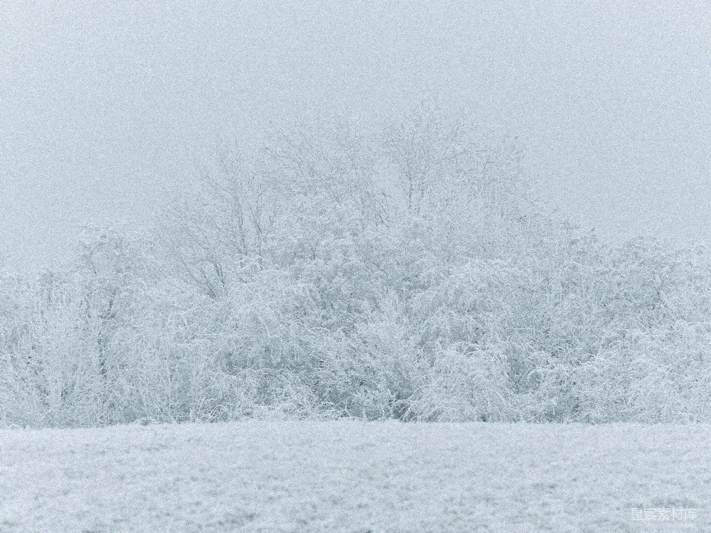高清摄影 冬季 自然 雪景 雾气 寒冷 冬日雾中雪地