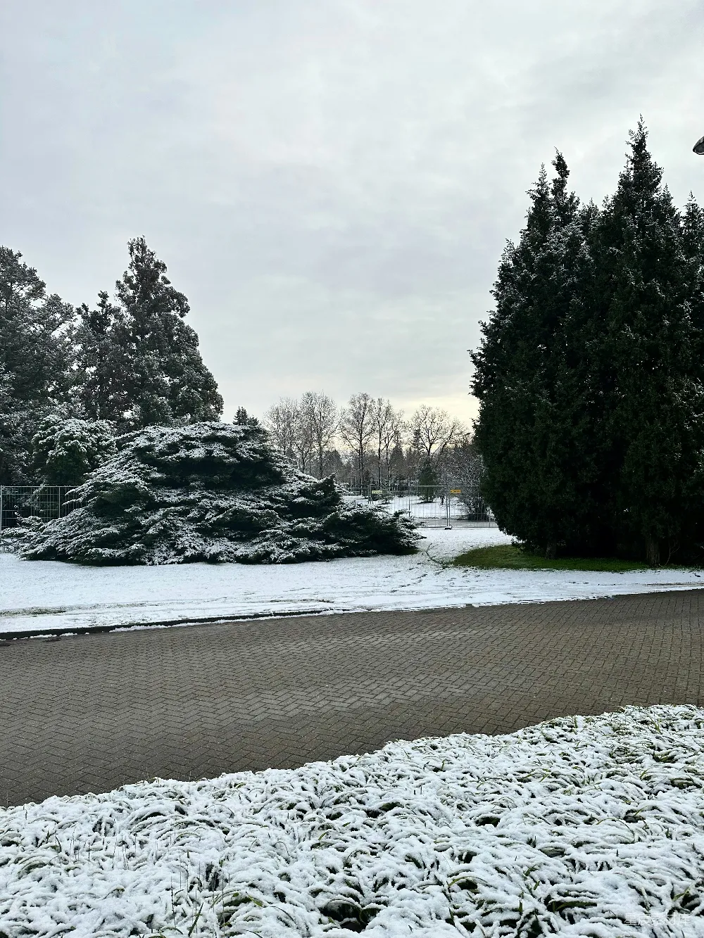 高清摄影 冬景 公园 雪景 自然 户外 冬日雪景中的公园