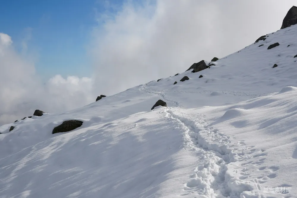 高清摄影 雪地 足迹 自然 户外 风景 雪地足迹