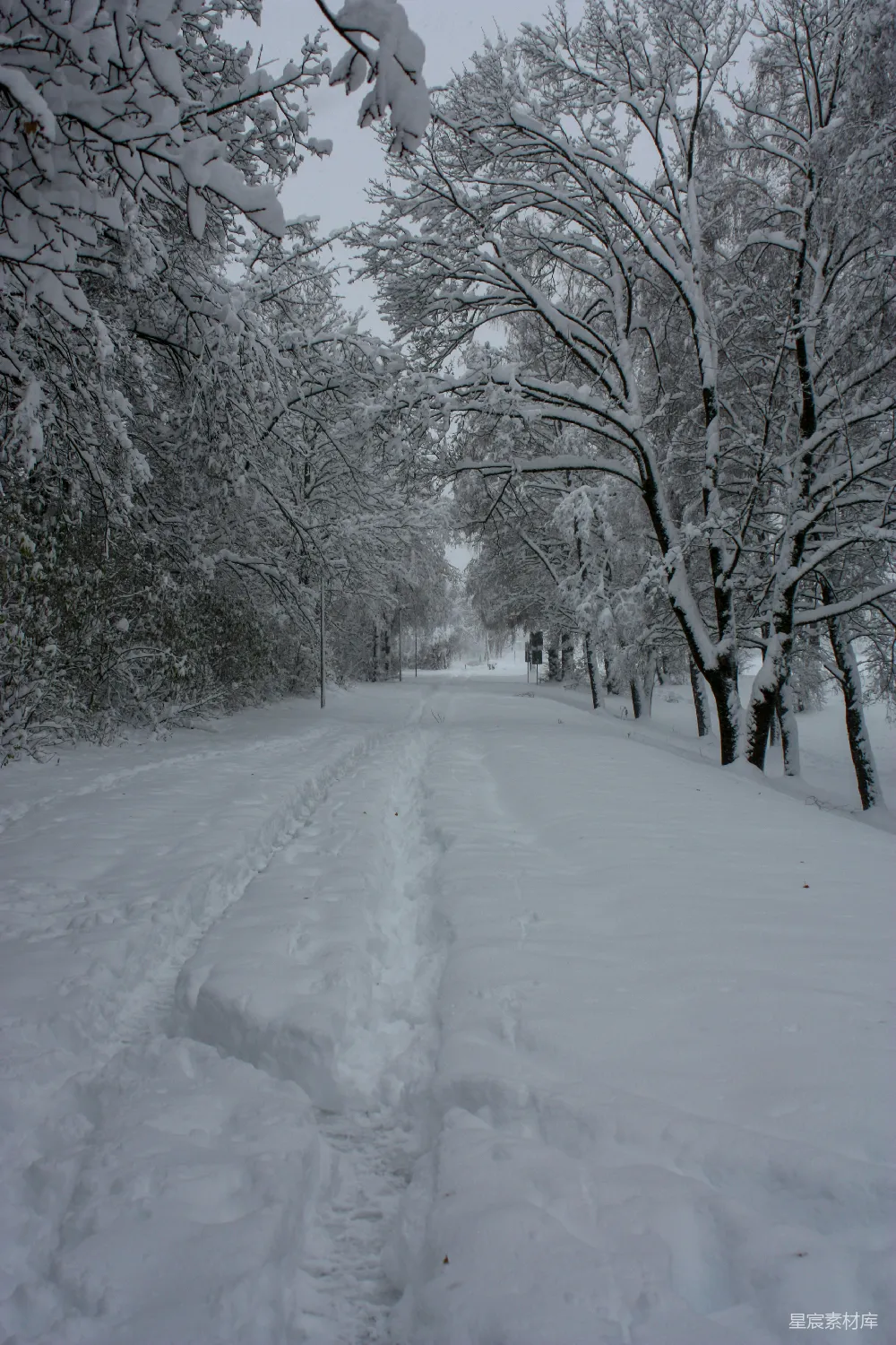 高清摄影 雪景 小径 冬季 自然风光 宁静 冬日雪景中的小径