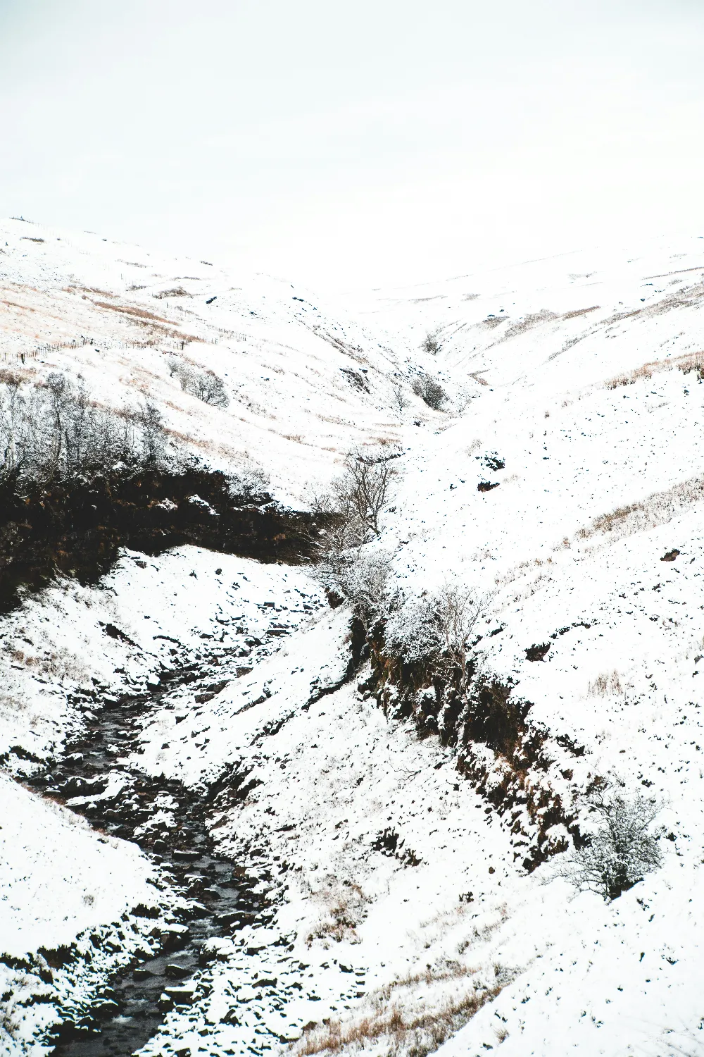 高清摄影 雪景 自然风光 冬季 河流 山脉 雪覆盖的山谷