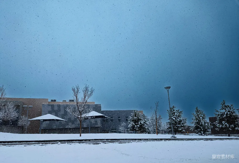 高清摄影 雪景 校园 冬季 宁静 自然 冬日校园雪景