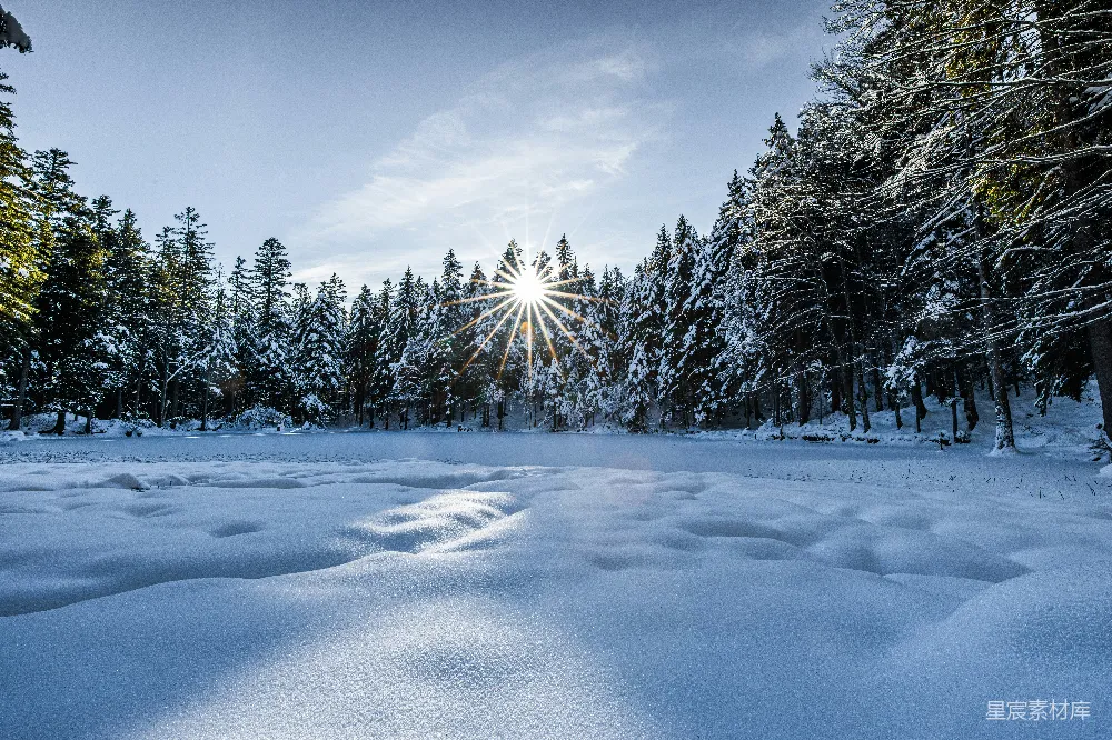 高清摄影 冬季 自然 森林 雪景 阳光 冬日森林中的阳光