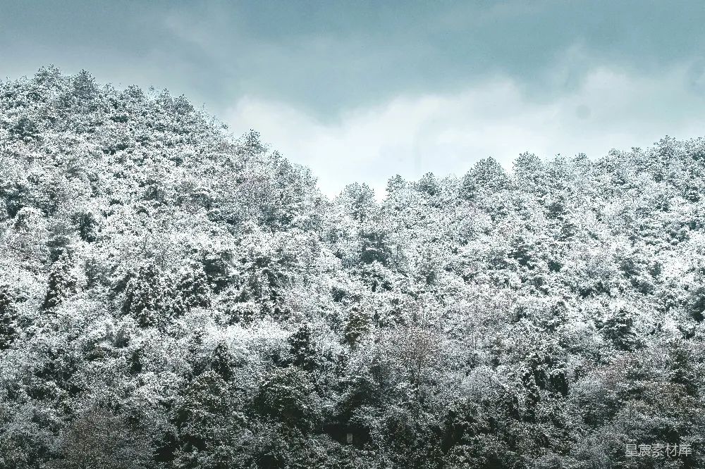 高清摄影 冬季 自然风光 雪景 山林 宁静 冬日山林雪景