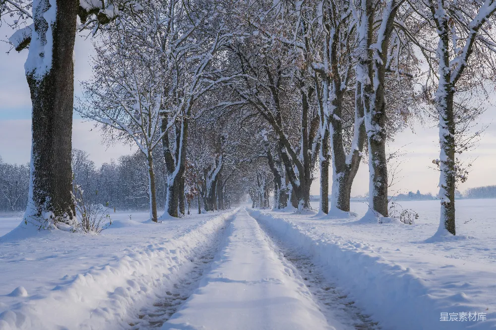 高清摄影 冬季 雪景 自然风光 乡村小路 宁静 冬日雪林小径
