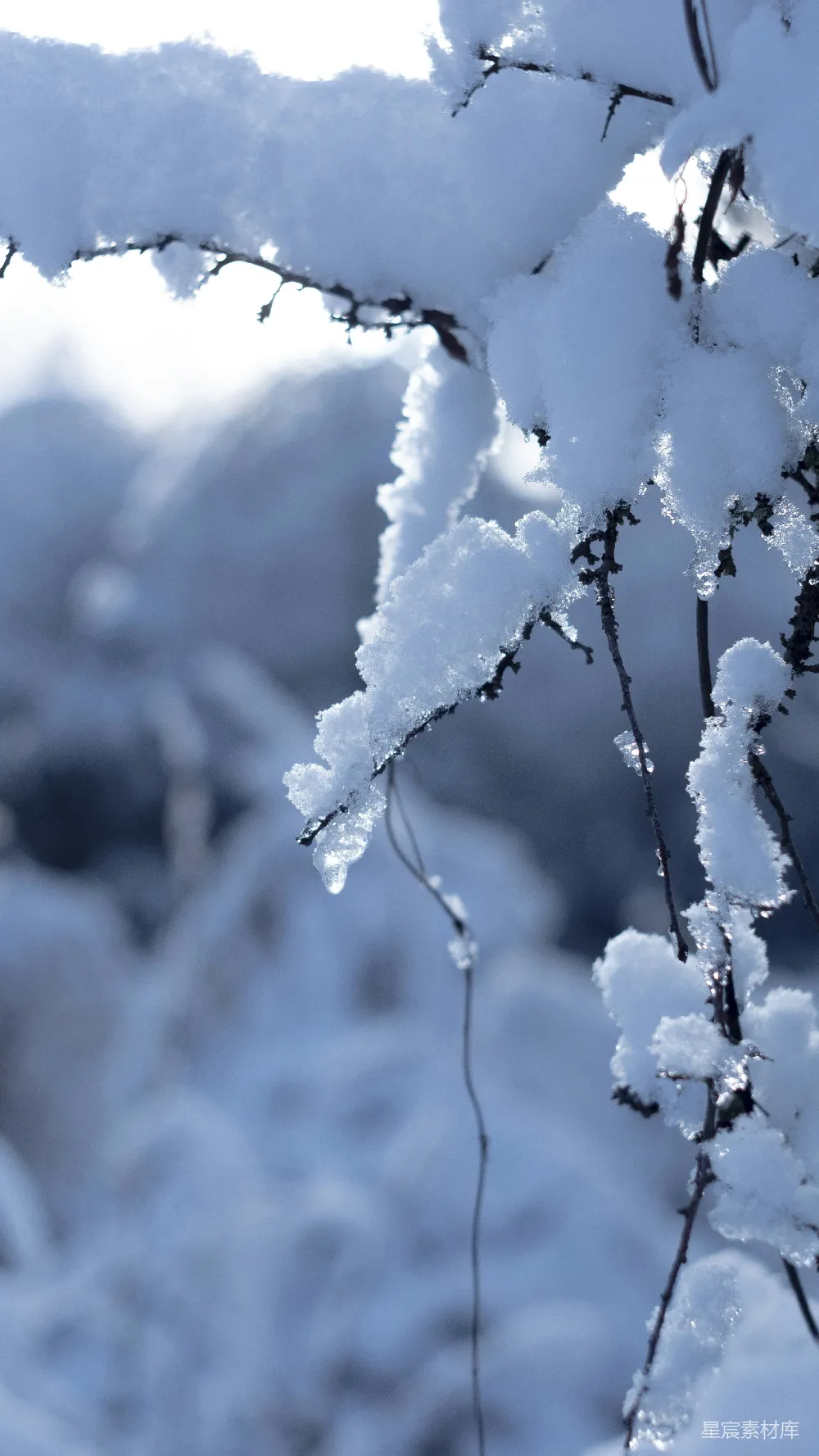 高清摄影 雪景 自然风光 冬季 宁静 寒冷 冬日雪景
