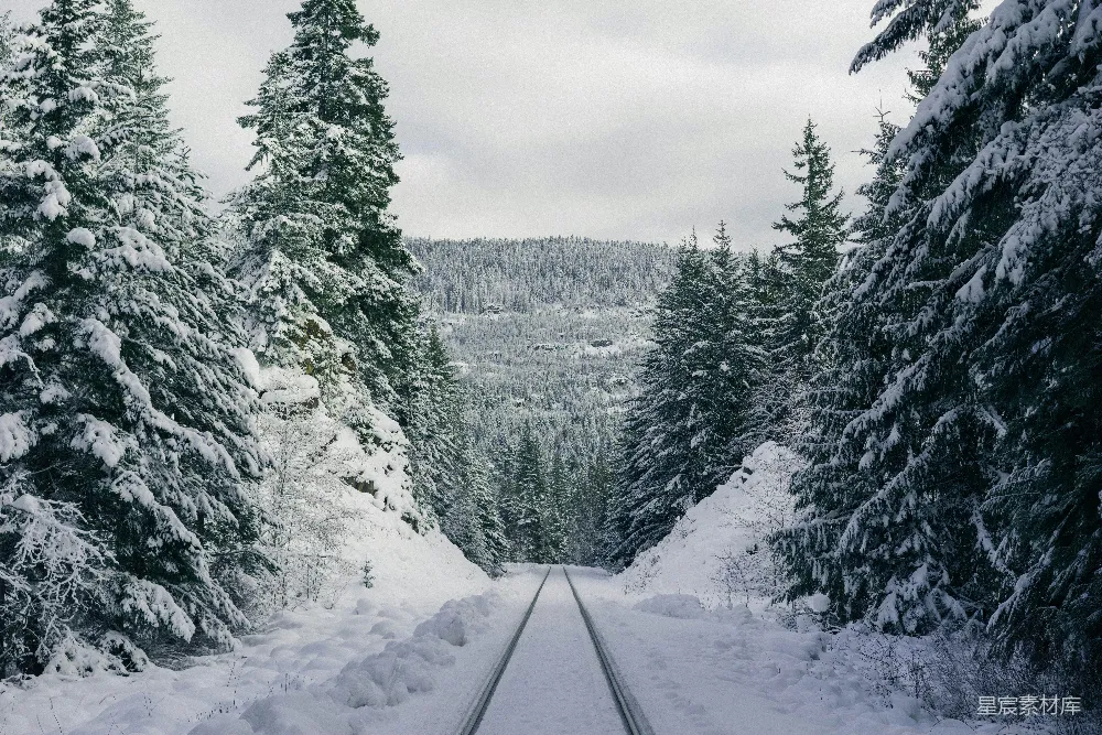 高清摄影 雪景 森林 铁路 冬季 自然 雪中的铁路