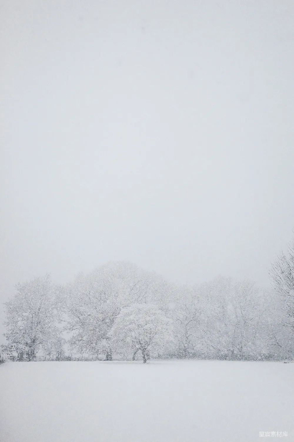 高清摄影 冬季 雪景 自然 宁静 户外 冬日雪景