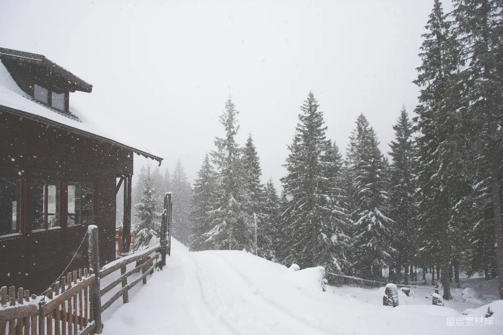 高清摄影 冬日 雪景 木屋 松林 宁静 冬日雪景中的木屋与松林