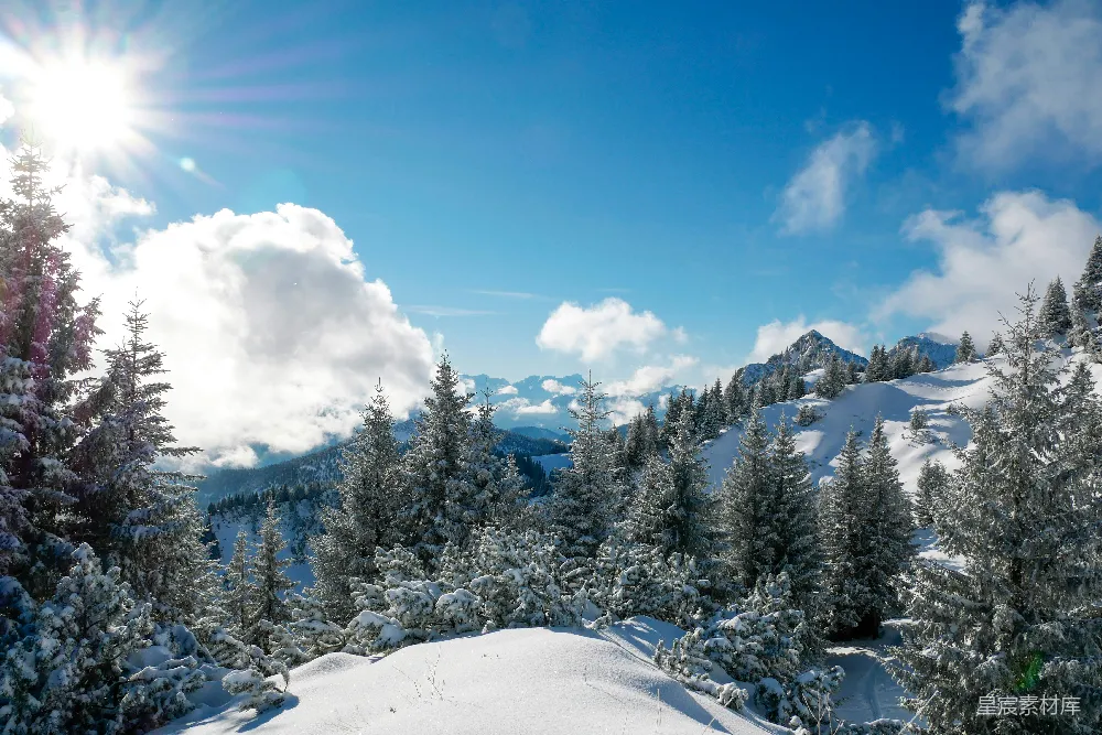 高清摄影 冬日 自然 雪景 山林 风景 冬日山林雪景