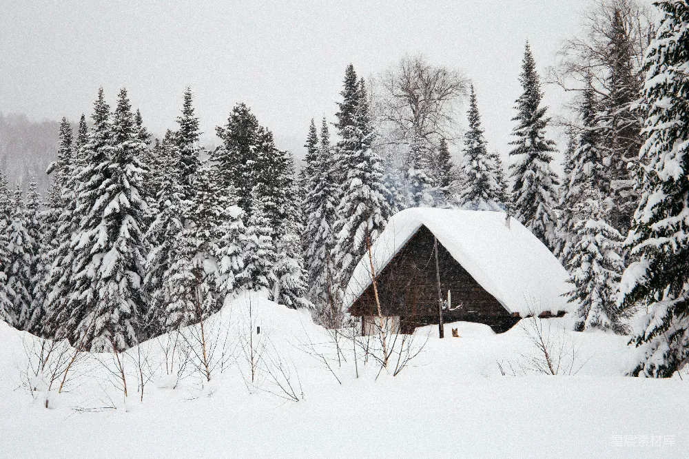 高清摄影 雪景 小木屋 冬季 自然 宁静 雪中的小木屋