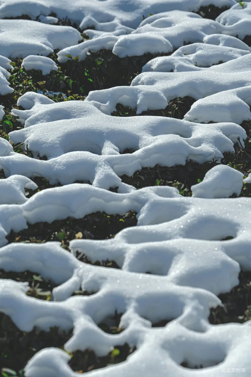 高清摄影 雪地 自然 纹理 冬季 户外 雪地纹理