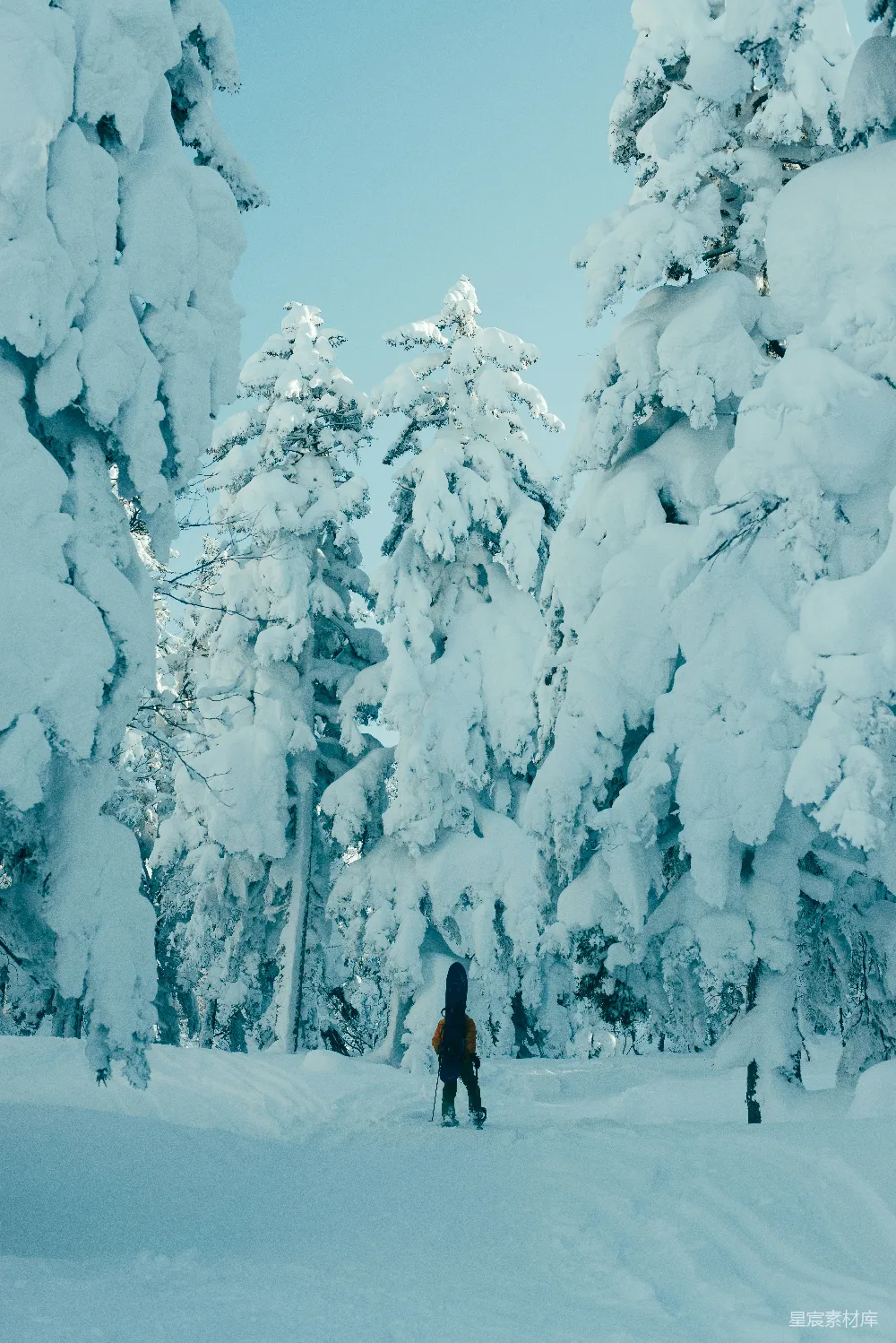 高清摄影 雪景 徒步 自然 冬季 户外 雪林中的孤独徒步者